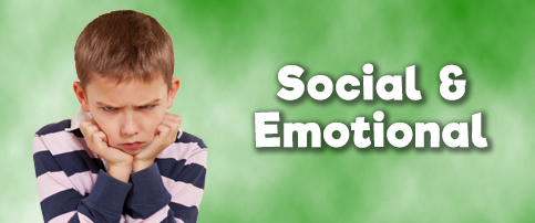 Counselor - Social & Emotional