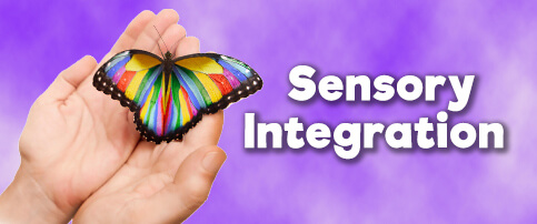 Counselor - Sensory Integration