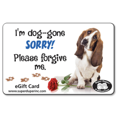 Super Duper Publications Apology eGift Cards