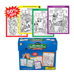 Webber BIG Box of Hidden Pictures For Vocabulary