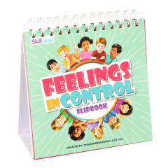 Feelings in Control Flipbook