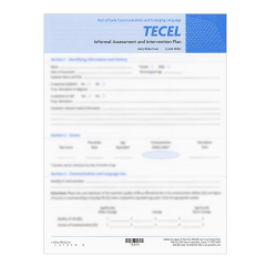 TECEL Informal Assessment and Intervention Plan (25)