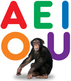 Articulation Sound - Vowel