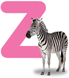 Articulation Sound - Z