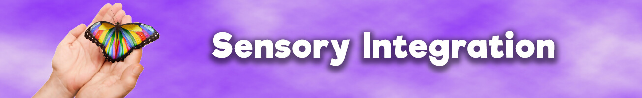 Counselor - Sensory Integration