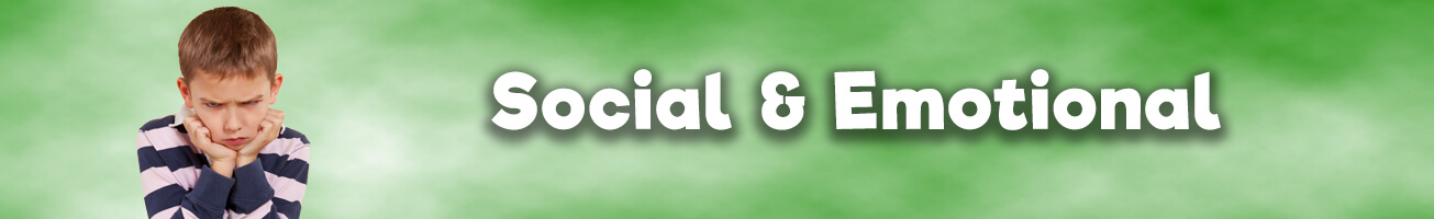 Counselor - Social & Emotional