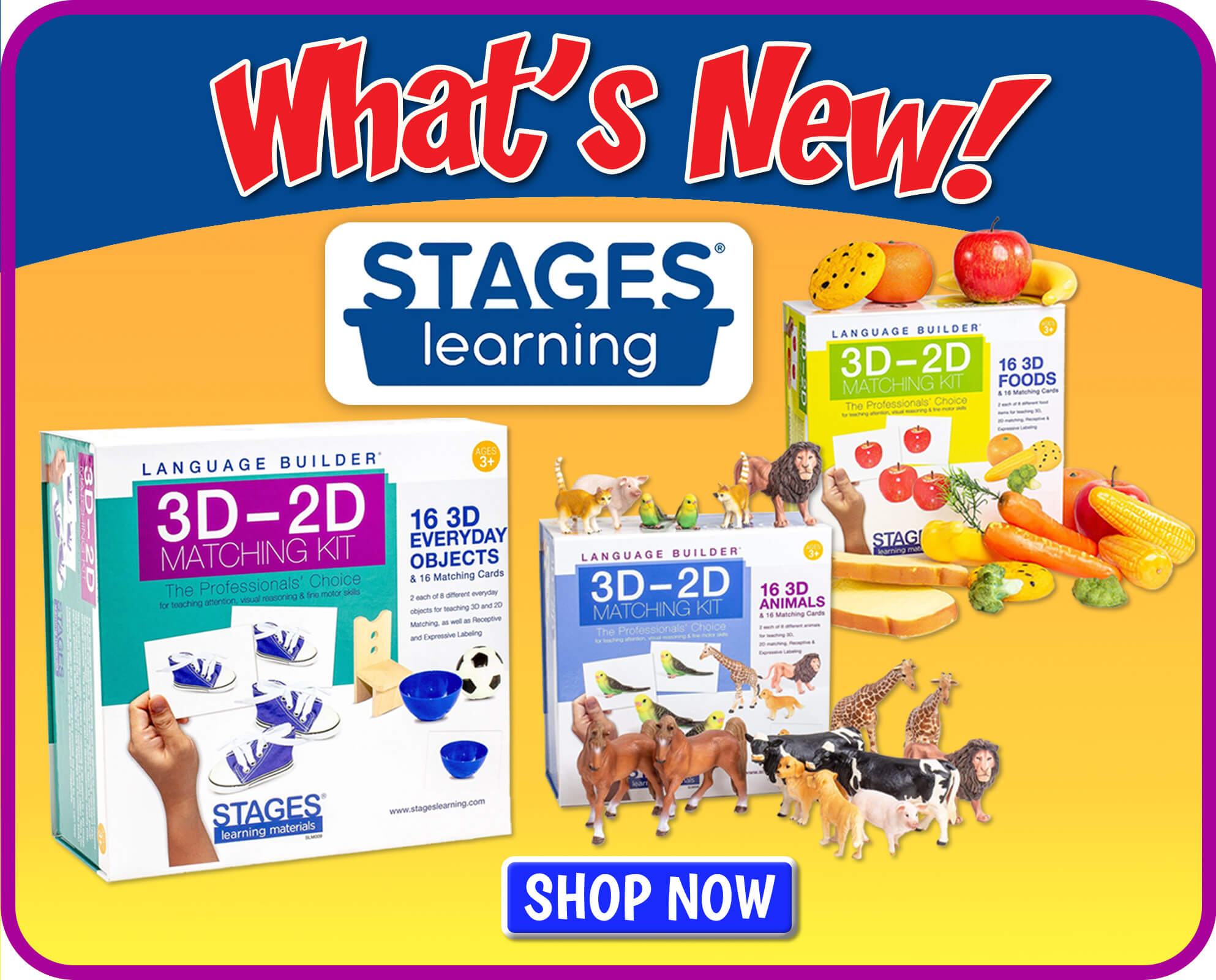 New Stages Learning 3D-2D Learning Kits